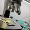 Love Science Microscope, well-packa...