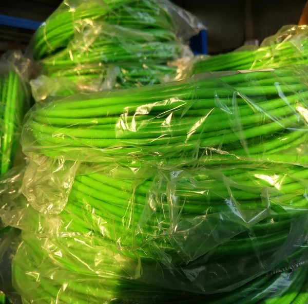 6FX5002-2DC10-1BH0, 17 meters
Cable...