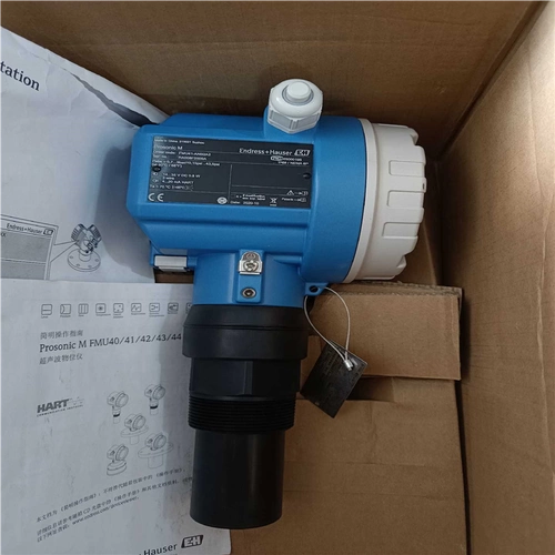 Endress+Hauser FTL31-15R9-0 Tuning Fork Level Switch Sensor